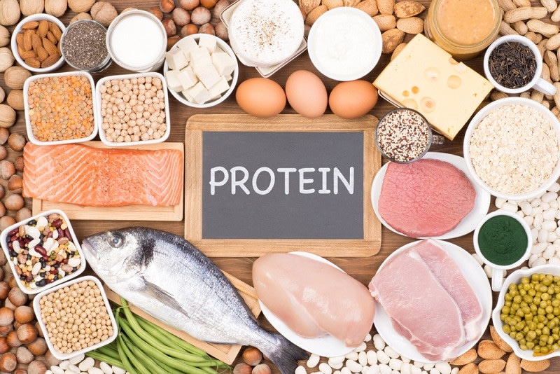 پروتئین: 46 ماده غذایی سرشار از پروتئین که باید در رژیم غذایی تان باشد - مجله کسب و کار بازده