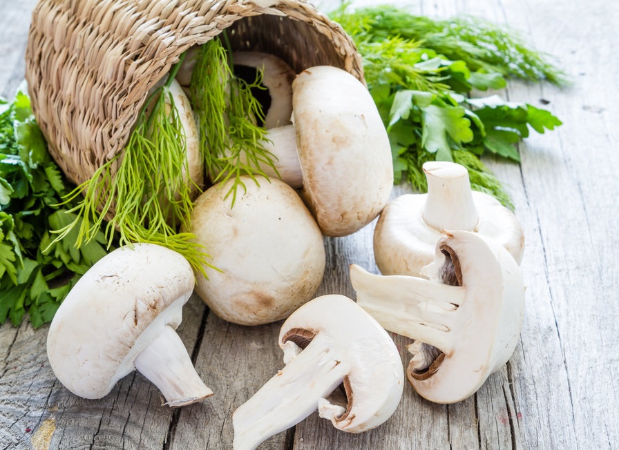 مضرات قارچ خوراکی: 20 عارضه جانبی خطرناک قارچ برای سلامتی - مجله کسب و کار بازده