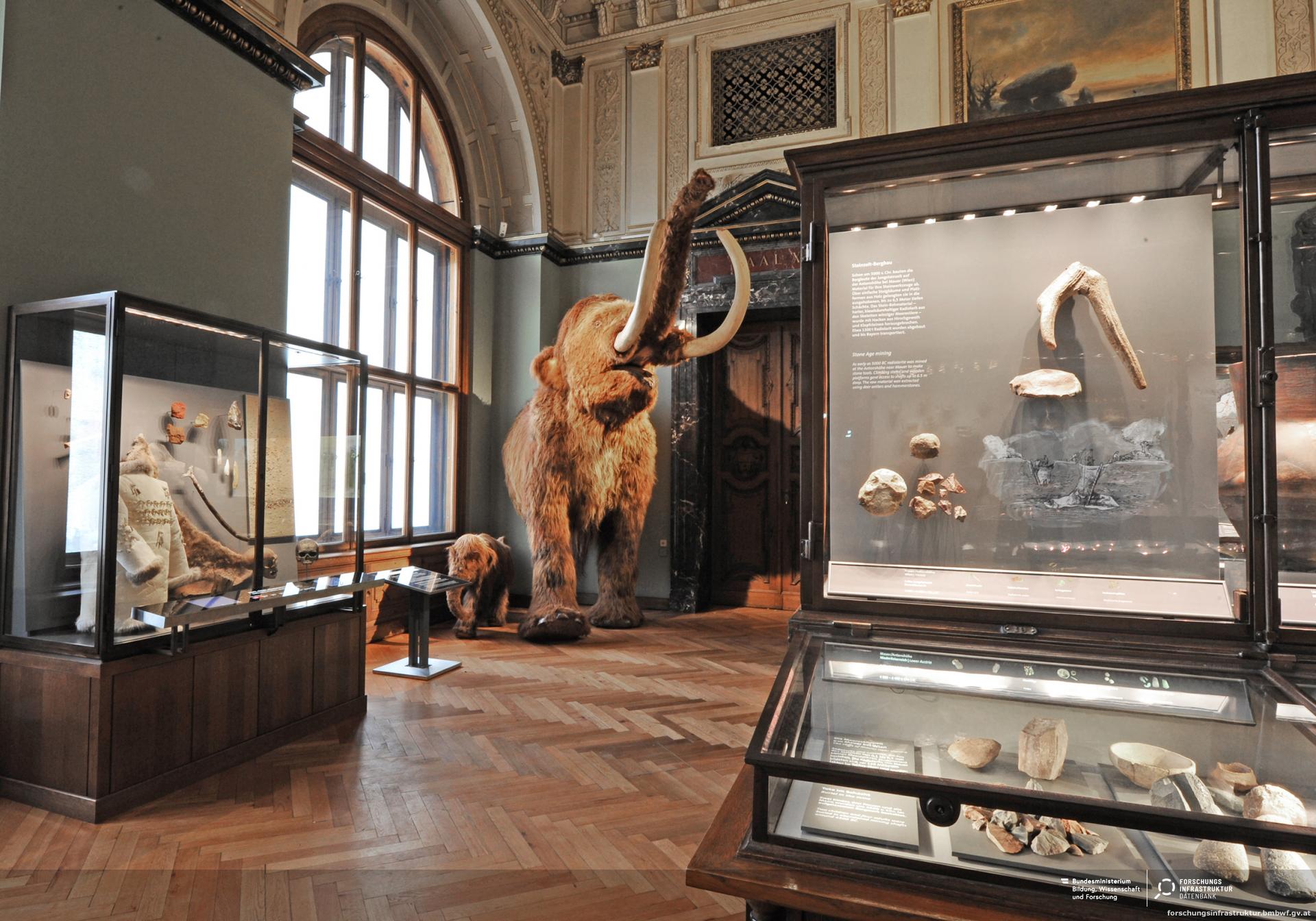 موزه تاریخ طبیعی وین (Vienna Natural History Museum)