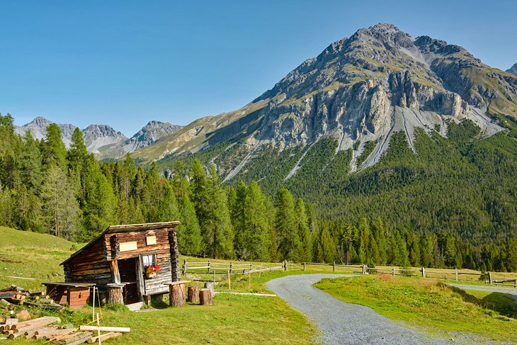 پارک ملی سوییس( Swiss National Park)