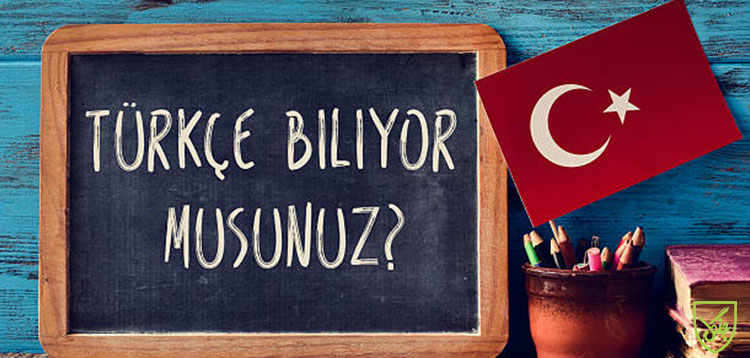 لغت نامه ترکیه ای به زبان فارسی + دیکشنری های ترکی استانبولی به فارسی 