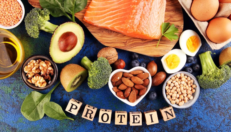 جدول پروتئین مواد غذایی