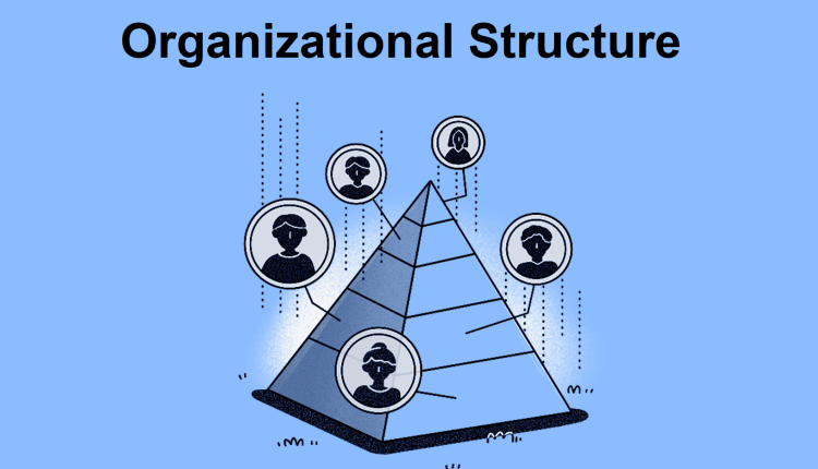 ساختار سازمانی Organizational Structure چیست؟