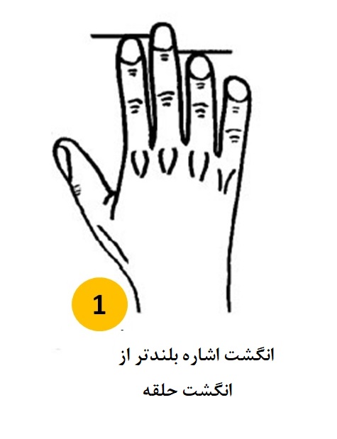 شخصیت شناسی طول انگشت اشاره