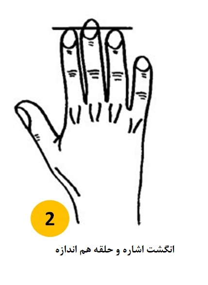 ویژگی شخصیتی افراد با انگشت اشاره و انگشت حلقه هم اندازه