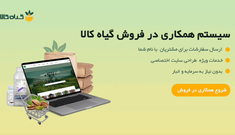 همکاری در فروش ؛ فرصت استثنایی کسب درآمد بدون سرمایه و دردسر انبارداری!